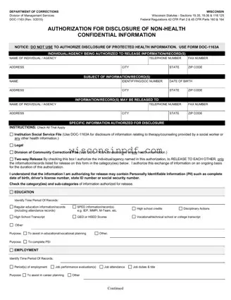 Fill Out a Valid Wisconsin Doc 1163 Template
